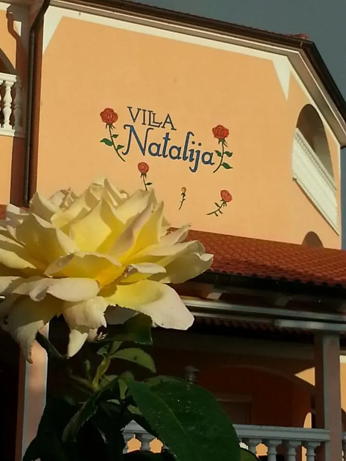 Villa Natalija 梅杜林 克罗地亚
